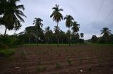 MEX_0061.jpg